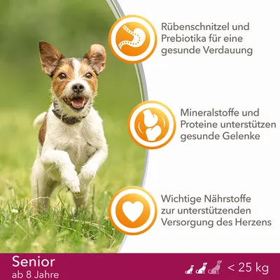 Saksankielinen teksti: Rübenschnitzel und Prebiotika für eine gesunde Verdauung, Mineralstoffe und Proteine unterstützen gesunde Gelenke, Wichtige Nährstoffe zur unterstützenden Versorgung des Herzens. Senior ab 8 Jahre, alle <25 kg.