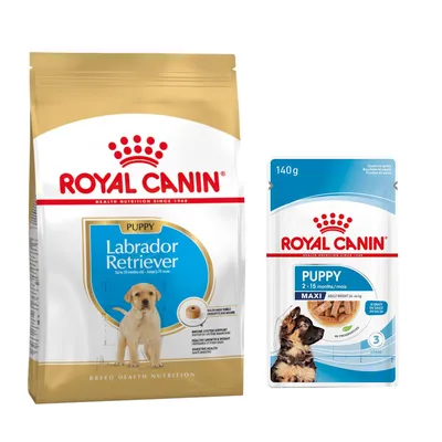 Royal Canin Breed 1,5 à 12 kg pour chien + aliment humide : 15 % de remise ! - Labrador Retriever Puppy (12 kg) + sachets Maxi Puppy en sauce (10 x 140 g)