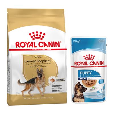 Royal Canin Breed 1,5 à 12 kg pour chien + aliment humide : 15 % de remise ! - Berger Allemand Adult (11 kg) + sachets Maxi Puppy en sauce pour chiot (10 x 140 g)