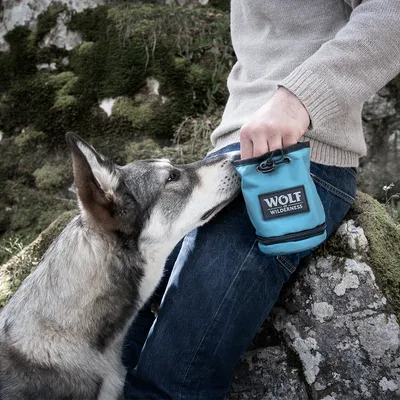 Wolf Wilderness Leckerli-Tasche in Blau, genutzt von einer Person mit Hund. Praktisch für Outdoor-Aktivitäten und Belohnungen.