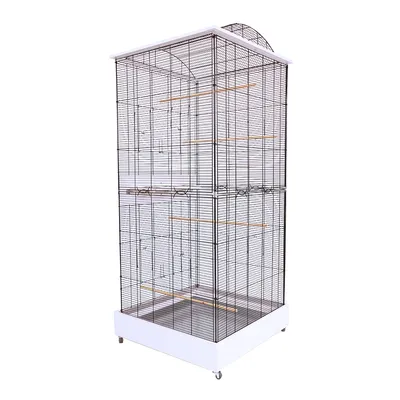 Grande cage rectangulaire en métal noir avec base blanche, quatre perchoirs en bois et roulettes visibles au socle. Aucun accessoire ou animal présent.