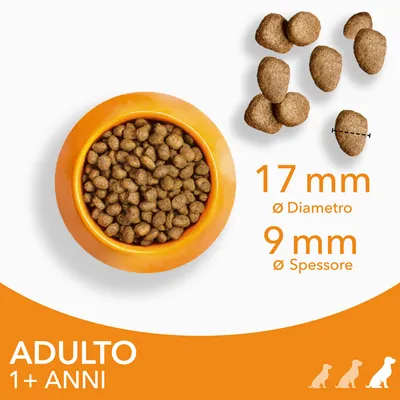 Crocchette in ciotola arancione, alcune crocchette ingrandite. Testo: 17 mm diametro, 9 mm spessore. In basso: ADULTO 1+ ANNI con icone di cani.