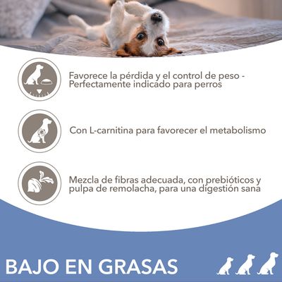 Bajo en grasas. Favorece la pérdida y control de peso, con L-carnitina para el metabolismo y mezcla de fibras con prebióticos y pulpa de remolacha para una digestión sana.