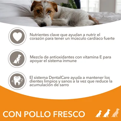 Nutrientes clave para el corazón, antioxidantes con vitamina E para el sistema inmune, sistema DentalCare para dientes limpios y sanos. Texto: CON POLLO FRESCO.