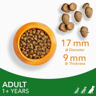 Granule v misce, detail tvaru a rozměrů: průměr 17 mm, tloušťka 9 mm. Text: ADULT 1+ YEARS.