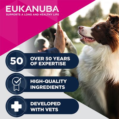 EUKANUBA, yli 50 vuoden kokemus, laadukkaat ainesosat, kehitetty yhdessä eläinlääkäreiden kanssa. Kaksi koiraa antaa tassua toisilleen.