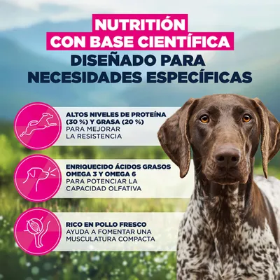 Eukanuba Special Care Working & Endurance Adult - 15 kg