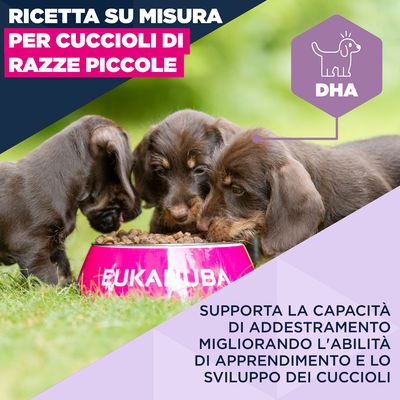 Eukanuba Premium Nutrition Puppy Small Breed Pollo - 3 kg