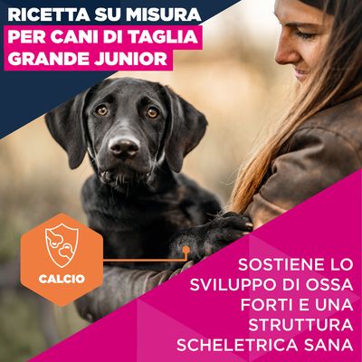 Eukanuba Premium Nutrition Junior Large & Giant Breed Pollo