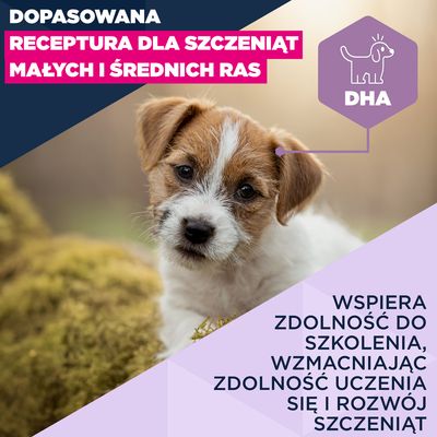 Eukanuba Premium Nutrition Puppy Small & Medium Breed, jagnięcina i ryż - 12 kg