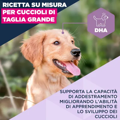 Eukanuba Premium Nutrition Puppy Large & Giant Breed Agnello & Riso - 12 kg