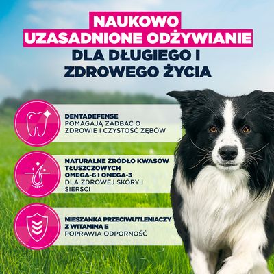 Gratis dla Ciebie! Eukanuba Premium Nutrition Adult Medium Breed, kurczak, 100 g