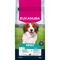 Eukanuba Premium Nutrition Adult Small & Medium Breed Lamb & Rice Economy Pack: 2 x 12kg