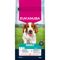 Eukanuba Premium Nutrition Adult Small & Medium Breed Lachs Sparpaket: 2 x 12 kg