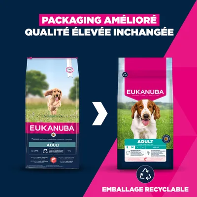 Eukanuba Premium Nutrition Adult Small et Medium Breed saumon - lot économique : 2 x 12 kg