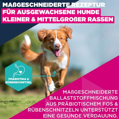 Eukanuba Premium Nutrition Adult Small & Medium Breed Lachs