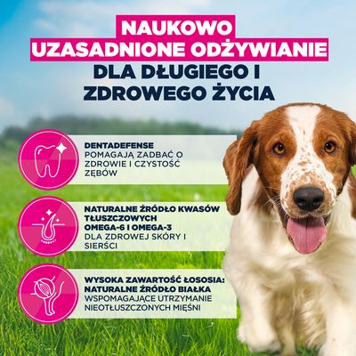 Eukanuba Premium Nutrition Adult Small & Medium Breed, łosoś - 12 kg