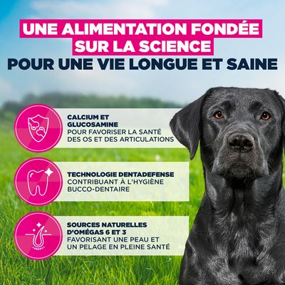 Eukanuba Premium Nutrition Mature Large et Giant Breed au poulet - 15 kg