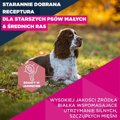 Eukanuba Premium Nutrition Senior Small & Medium Breed, jagnięcina i ryż - 12 kg