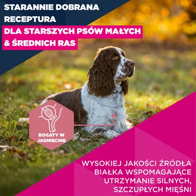 Eukanuba Premium Nutrition Senior Small & Medium Breed, jagnięcina i ryż - 2 x 3 kg