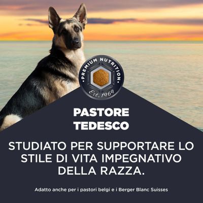 Nutrizione premium dal 1969. Pastore Tedesco. Sviluppato per il sostegno dello stile di vita esigente della razza. Adatto anche per i Pastori Belga e i Berger Blanc Suisse.
