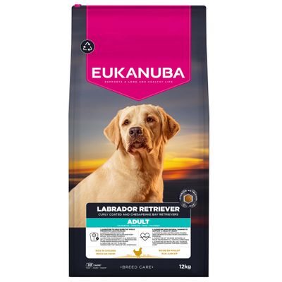 Eukanuba Labrador Retriever Adulte, riche en poulet, 12 kg. Pour Curly Coated et Chesapeake Bay Retrievers à partir de 15 mois. Breed Care.