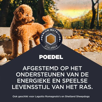 Premium Nutrition Est. 1969. Poedel. Afgestemd op de ondersteuning van de energieke en speelse levensstijl van het ras. Ook geschikt voor Lagotto Romagnolo en Shetland Sheepdogs.