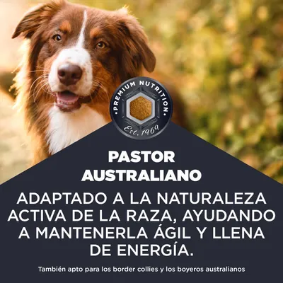 Premium Nutrition Est. 1969. Pastor Australiano: adaptado a la naturaleza activa de la raza, ayuda a mantenerse ágil y lleno de energía. También adecuado para Border Collies y perros de pastoreo australianos.
