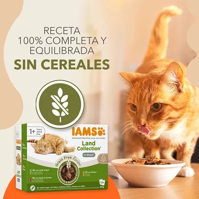 IAMS Land Collection en salsa para gatos, caja visible. Texto: Receta 100% completa y equilibrada, sin cereales. Icono de espiga tachada. Gato naranja comiendo de un cuenco.