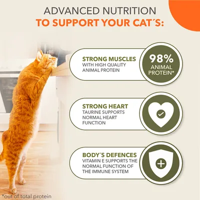 Advanced nutrition to support your cat’s: strong muscles with high quality animal protein, 98% animal protein, strong heart, body’s defences. Vitamin E and taurine benefits shown.