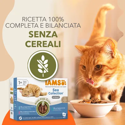 IAMS Advanced Nutrition Grain Free Sea Collection in Salsa - Set %: 48 x 85 g