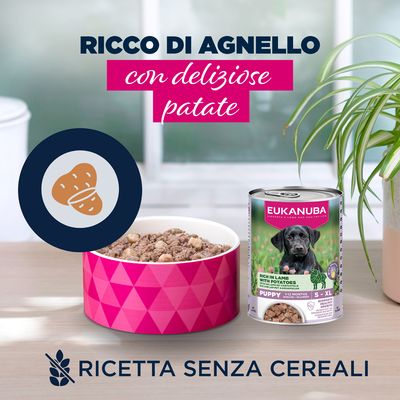 Eukanuba Puppy Ricco di Agnello con Patate