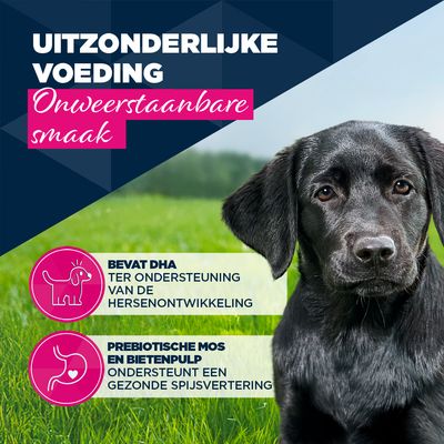 Eukanuba Puppy Rijk aan forel met zoete aardappel