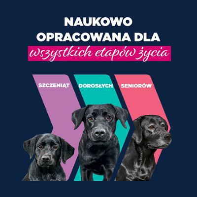 Eukanuba Senior, indyk z marchewką