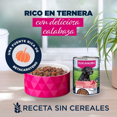 Eukanuba Senior rico en vacuno con calabaza