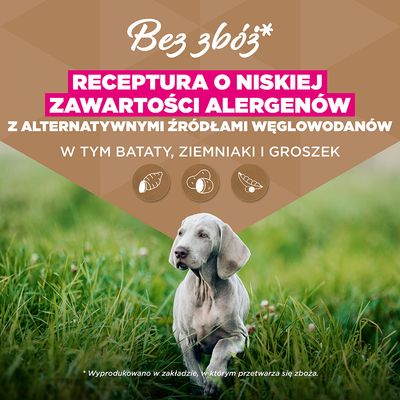 Eukanuba Grain Free Puppy Large & Giant Breed, ryba morska - 12 kg