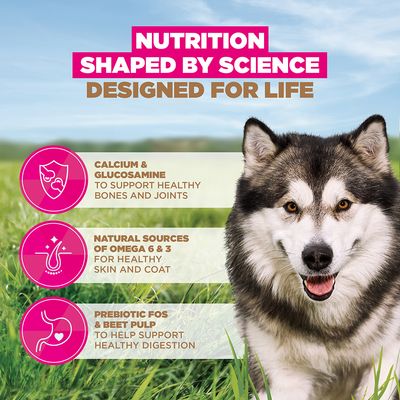 Eukanuba Grain Free Adult Large & Giant Breed merikala - 12 kg