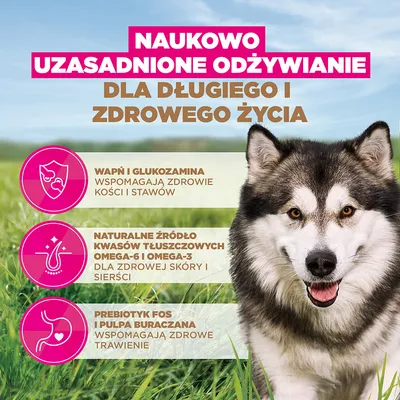 Eukanuba Grain Free Adult Large & Giant Breed, ryba morska - 12 kg
