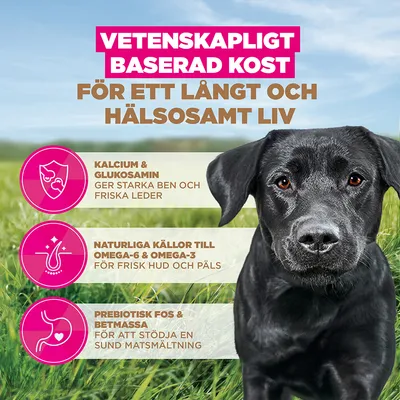 Eukanuba Grain Free Adult Large & Giant Chicken - Ekonomipack: 2 x 12 kg