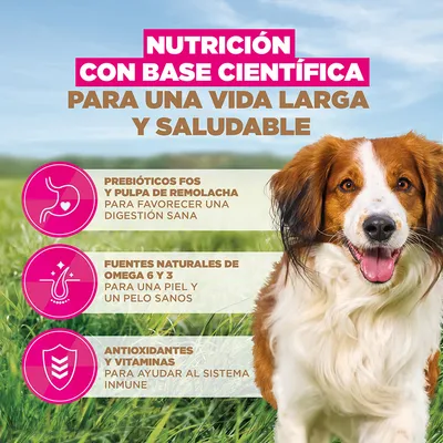 Eukanuba Grain Free Adult Small & Medium con cordero - 12 kg