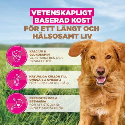 Eukanuba Grain Free Adult Large & Giant Lamb - 12 kg