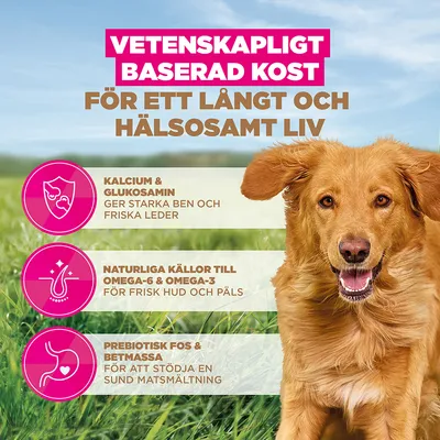 Eukanuba Grain Free Adult Large & Giant Lamb - Sparpack: 2 x 12 kg