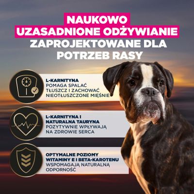 L-karnityna pomaga spalać tłuszcz i utrzymać beztłuszczową masę mięśniową, L-karnityna i tauryna wspierają zdrowie serca, witamina E oraz beta-karoten wzmacniają układ odpornościowy.