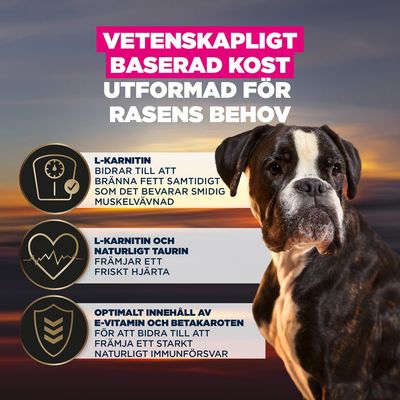 L-karnitin stödjer fettförbränning och bevarande av muskelmassa, L-karnitin och taurin främjar hjärthälsa, E-vitamin och betakaroten stärker immunförsvaret. Vetenskapligt baserad näring.
