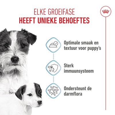 Royal Canin Starter Mousse Mother & Babydog Hondenvoer