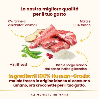 Almo Nature HFC Adult Sterilized Maiale