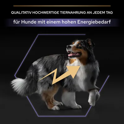PURINA PRO PLAN All Size Adult Performance - 16 kg