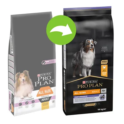 Преход от стара към нова опаковка на Purina Pro Plan All Sizes Adult Performance, 14 кг. Видими са двете опаковки с изображения на кучета и основни надписи. Преход от стара към нова опаковка на Purina Pro Plan All Sizes Adult Performance, 14 кг. Видими са двете опаковки с изображения на кучета и основни надписи.