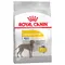 Royal Canin Maxi Dermacomfort 12 кг