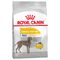 Royal Canin Maxi Dermacomfort 12 kg